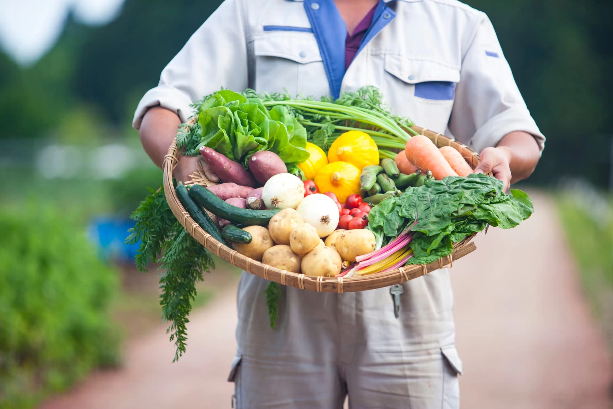 とびきり新鮮で美味しい野菜を簡単にお取り寄せ！農家直送の人気商品6選｜＜厳選＞旅色お取り寄せグルメ